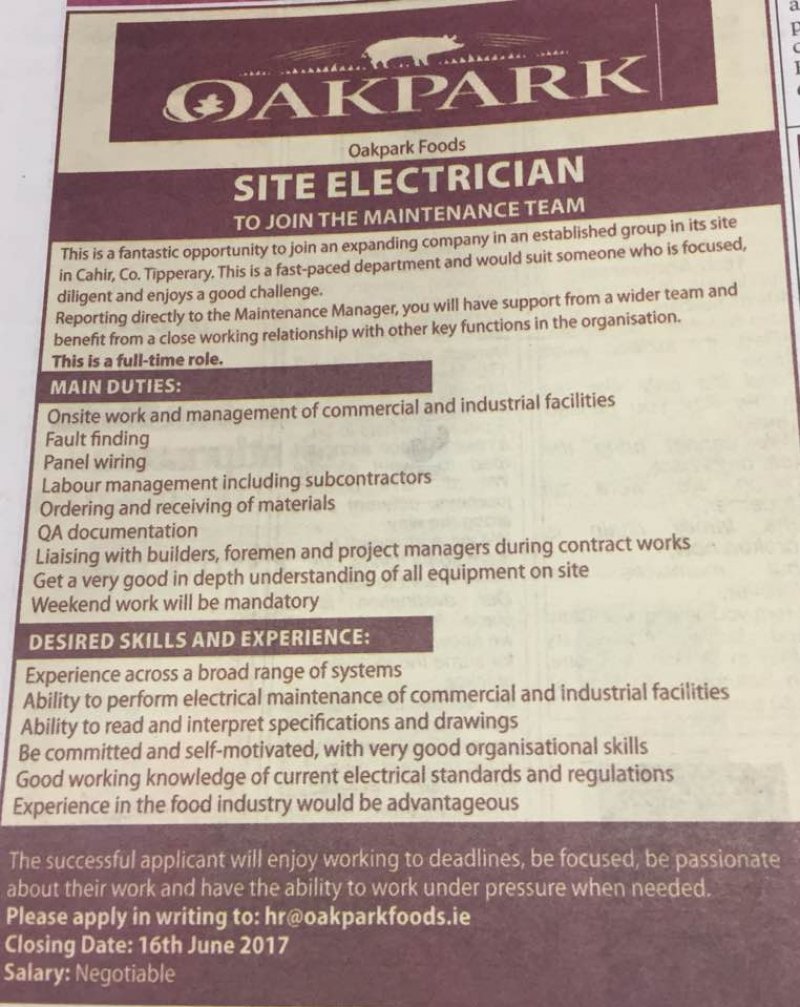 Nenagh Guardian - Site Electrician