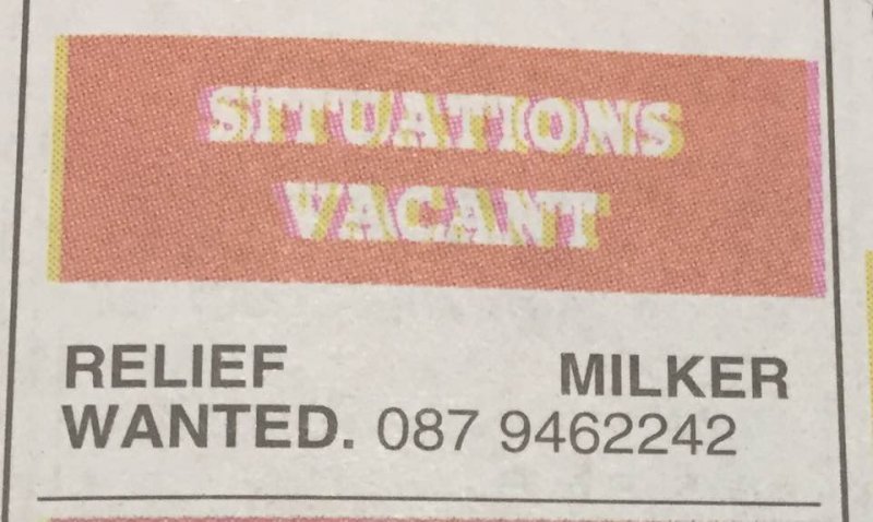 Nenagh Guardian - Situations Vacant - Relief Milker