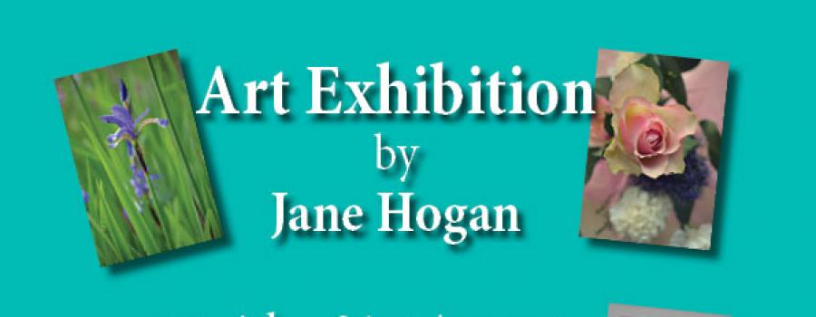 Art Exhibition by Jane Hogan
