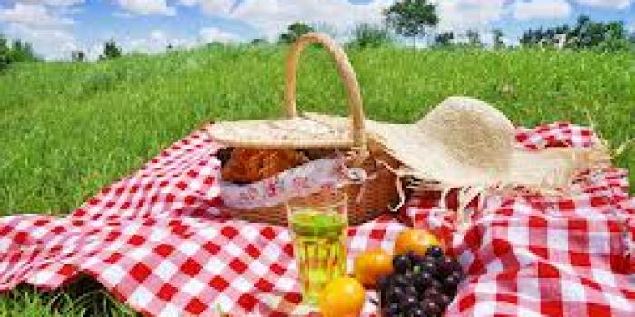 Nenagh Community Wellness Garden Mid-Summer Picnic Saturday 21st June