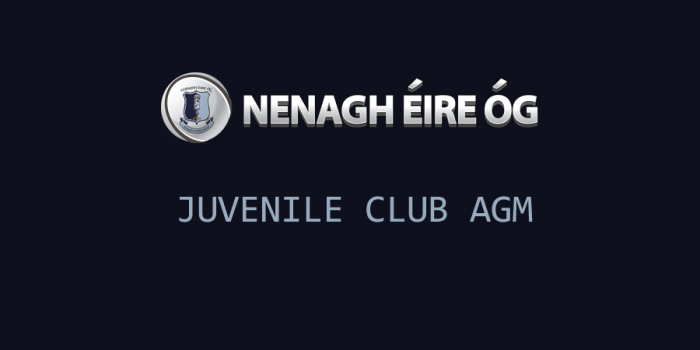 Nenagh Éire Óg Juvenile Club AGM