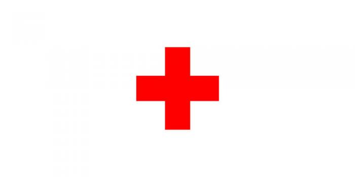 Nenagh Red Cross Annual Flag Day