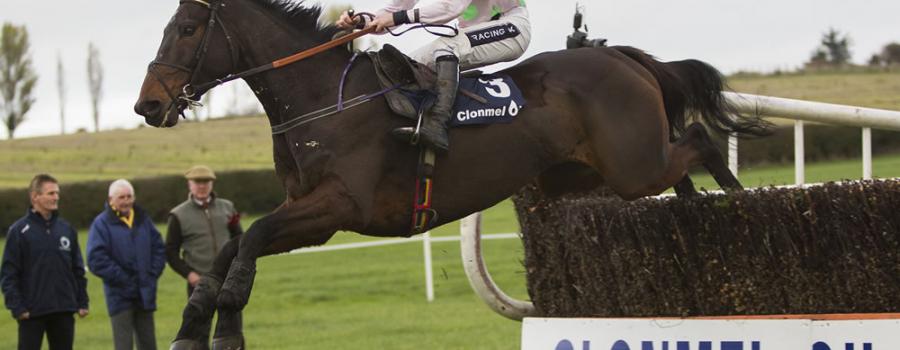 Clonmel Oil Day Steeplechase Special at Clonmel Races