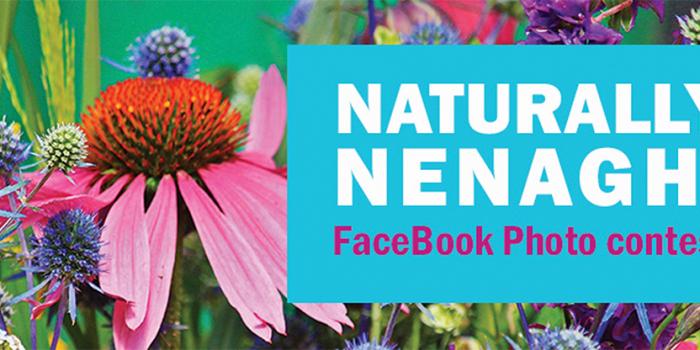 Naturally Nenagh Photo Contest Voting