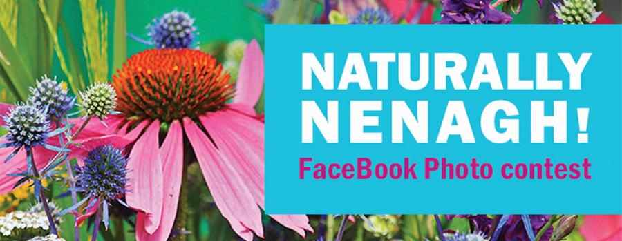 Naturally Nenagh Photo Contest Voting