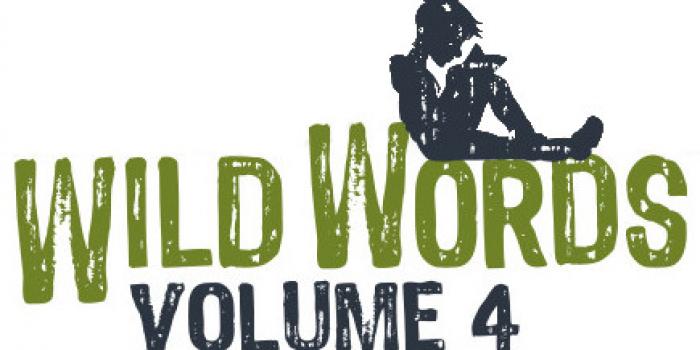 Wild Words Looking for Submissions