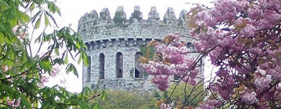 Nenagh Castle Will Re-Open in Coming Weeks