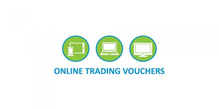Trading Online Voucher Scheme for Small Businesses