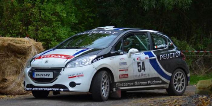 Performance Peugeot 208 R2 Thrills at Cork 20 International Rally