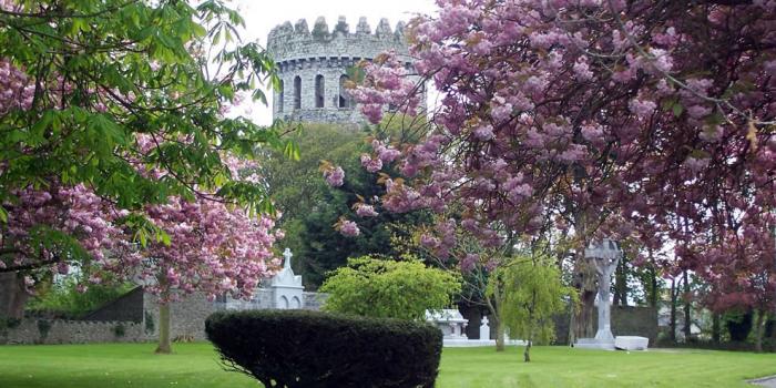 9 Things To Do In Nenagh This Week